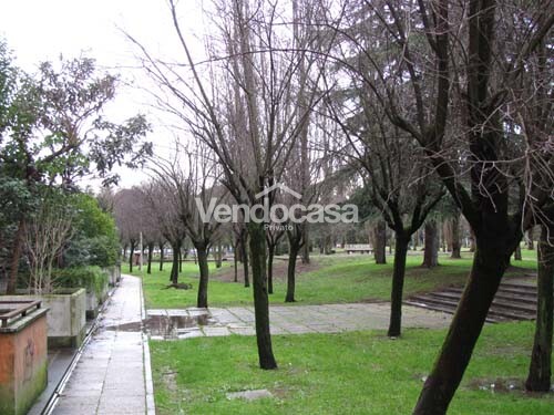 APPARTAMENTO A ROMA IMMERSO NEL VERDE DI UN GRANDE PARCO