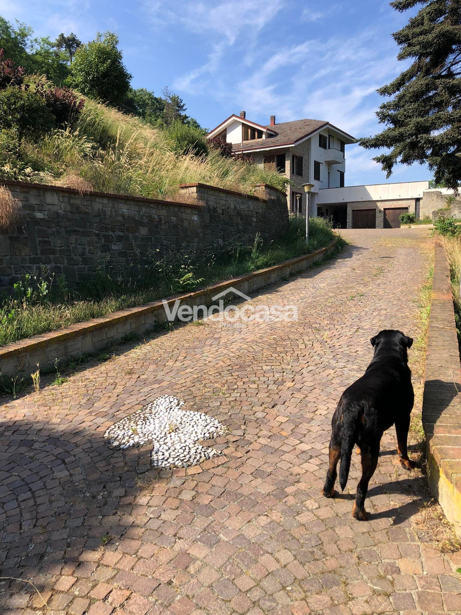 villa con piscina e parco