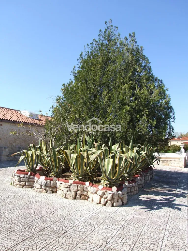 Holiday Residence in vendita - affare immobiliare