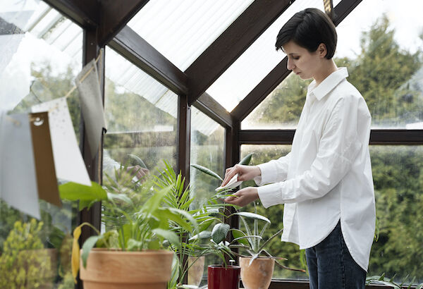 Case ecologiche: tendenze e vantaggi per gli acquirenti moderni